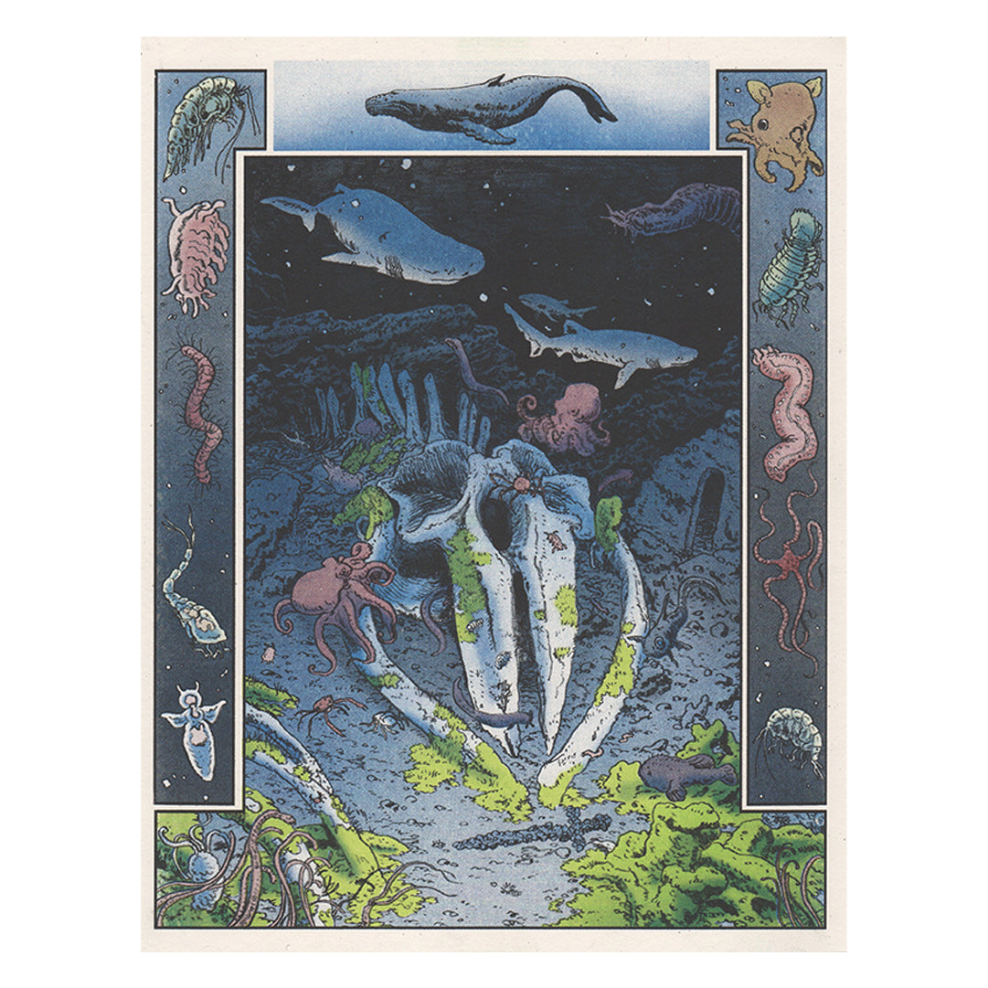 Whale Fall Riso Print