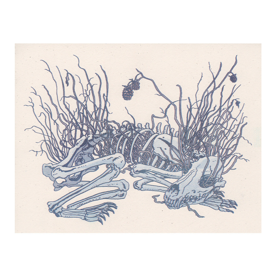 The Winter King (PREORDER)