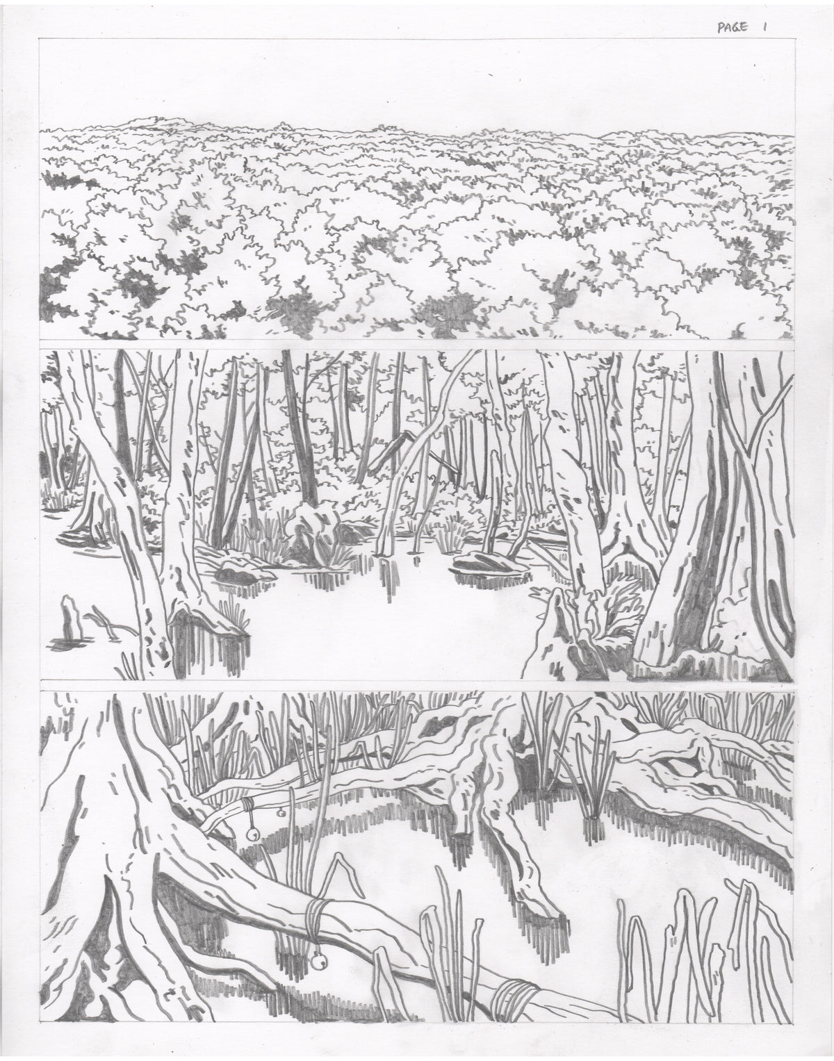 The Council of Frogs Chapter 1 Original Art
