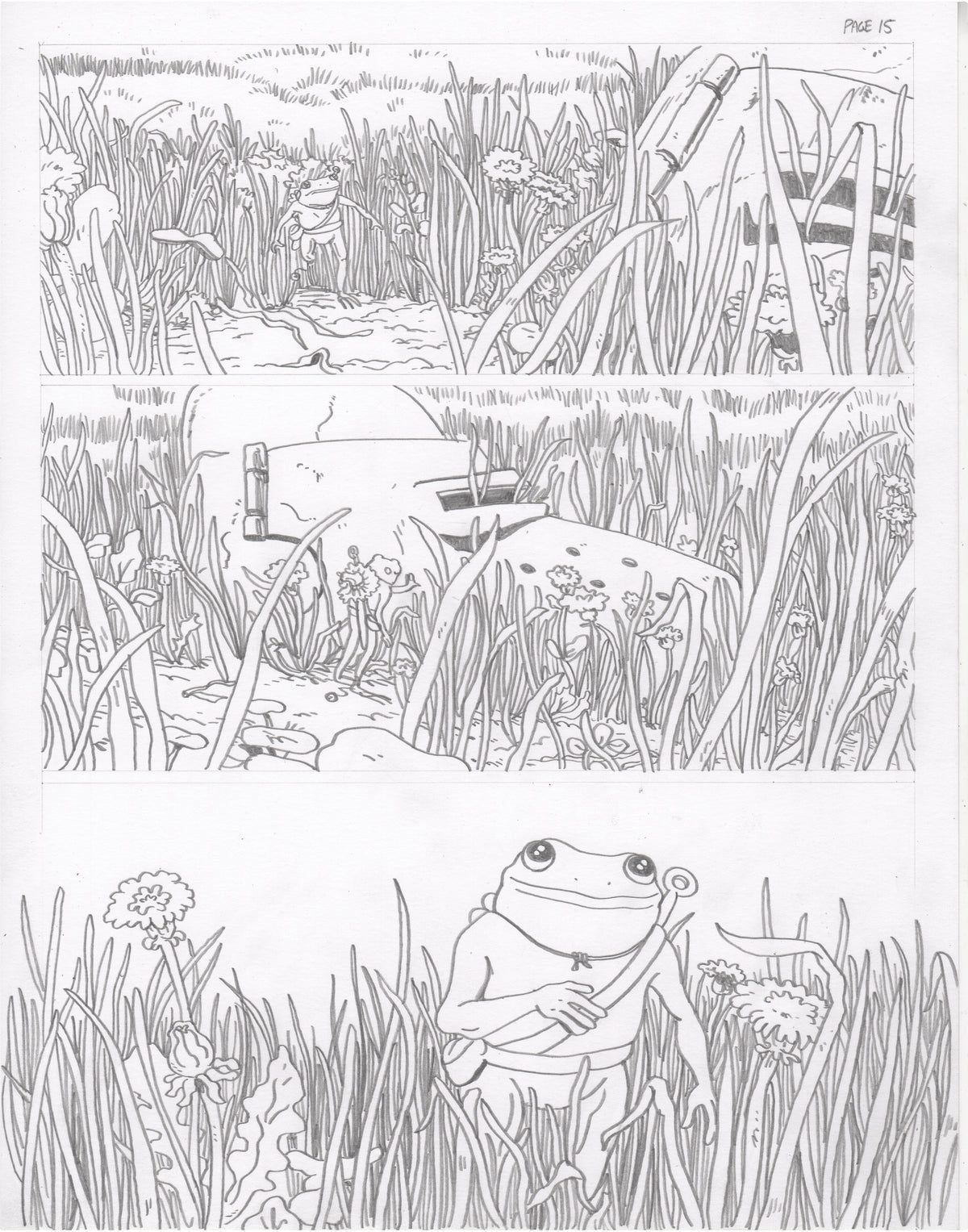 The Council of Frogs Chapter 1 Original Art