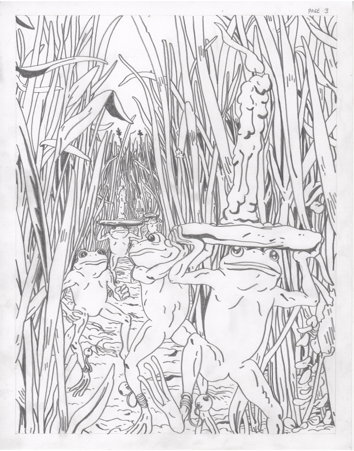 The Council of Frogs Chapter 1 Original Art