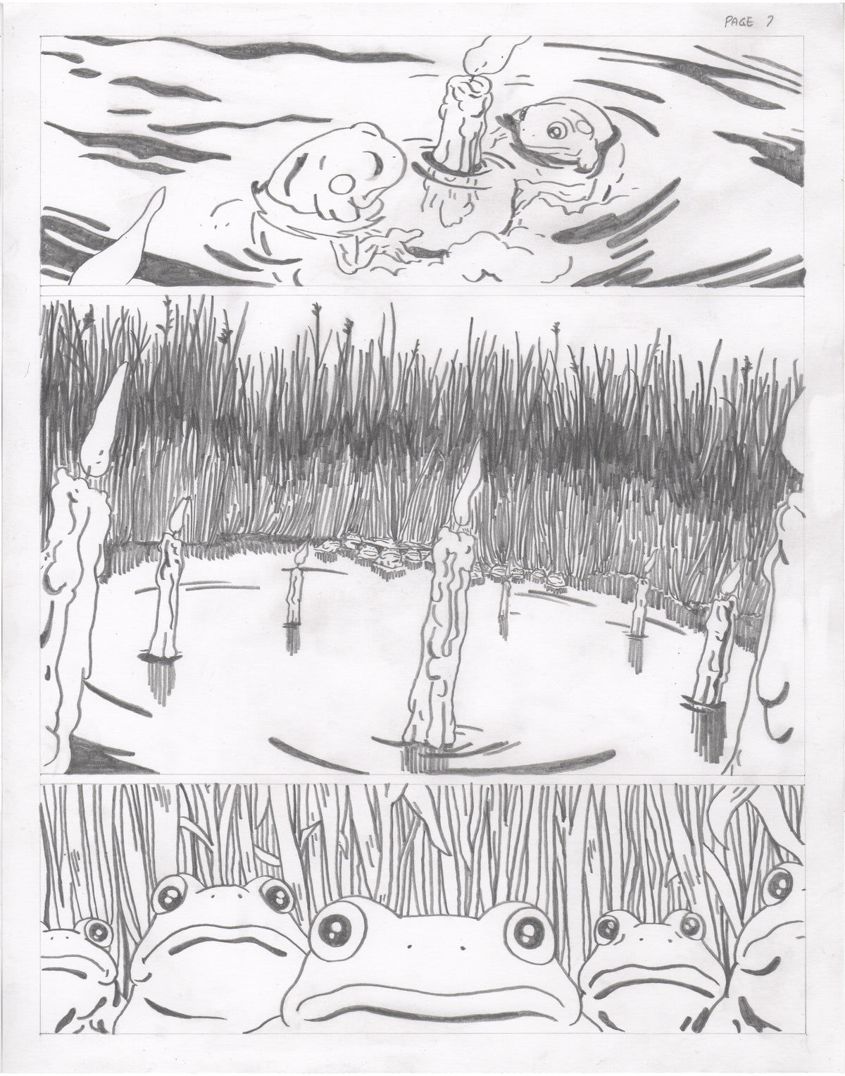 The Council of Frogs Chapter 1 Original Art