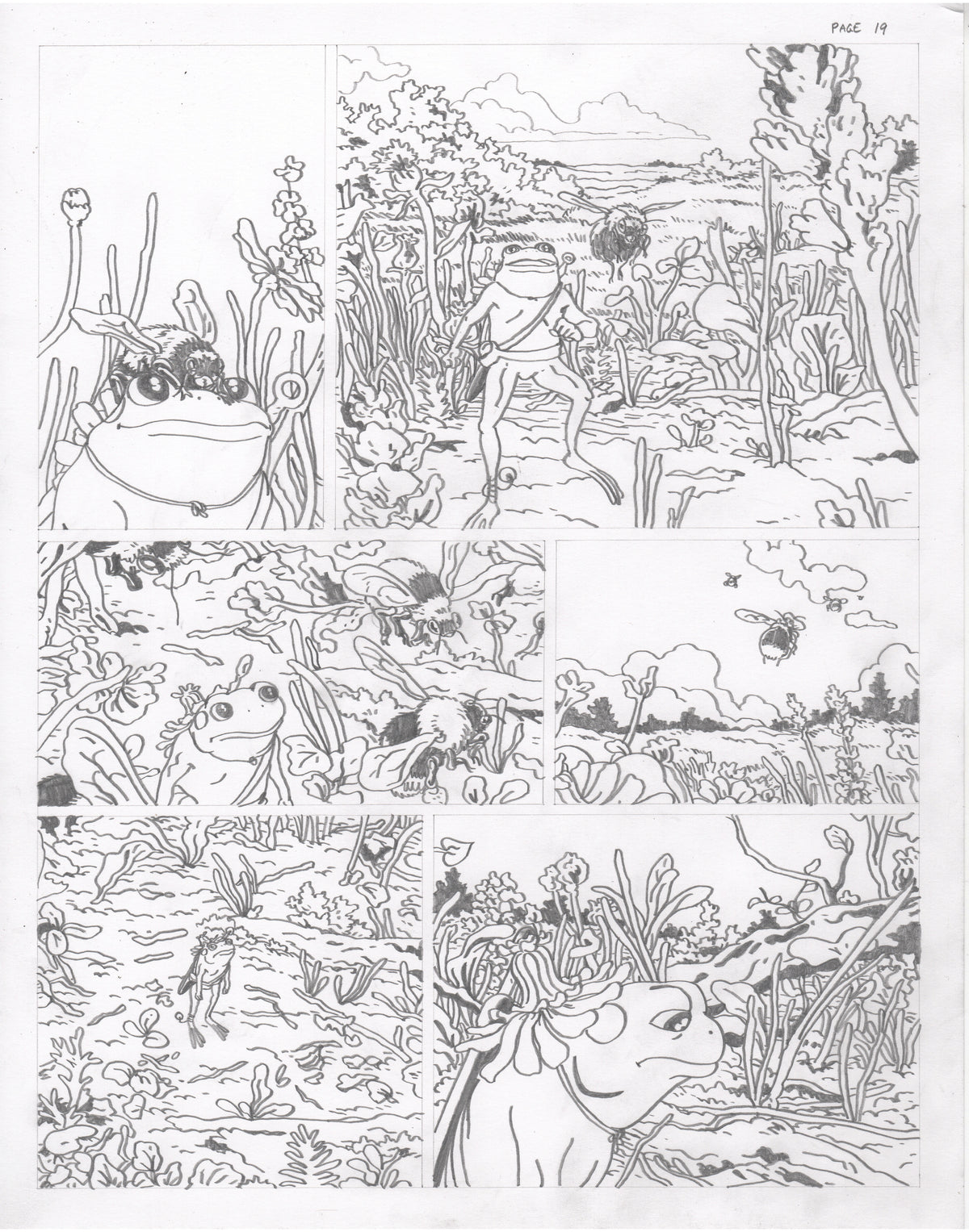 The Council of Frogs Chapter 2 Original Art