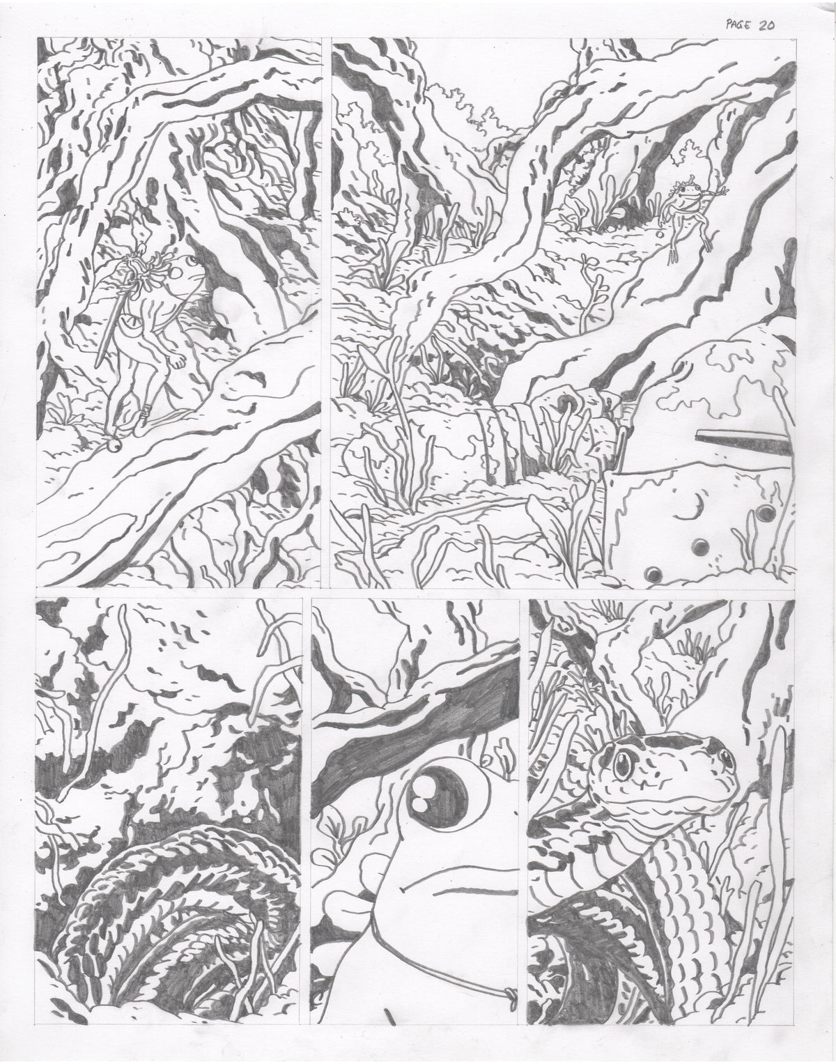 The Council of Frogs Chapter 2 Original Art