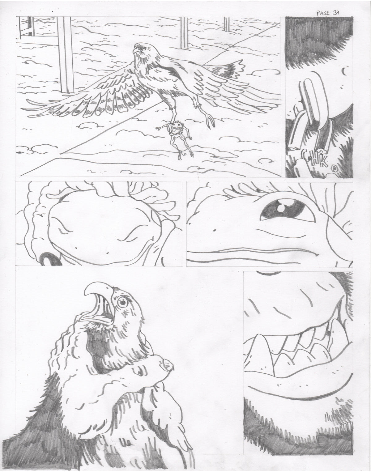 The Council of Frogs Chapter 2 Original Art