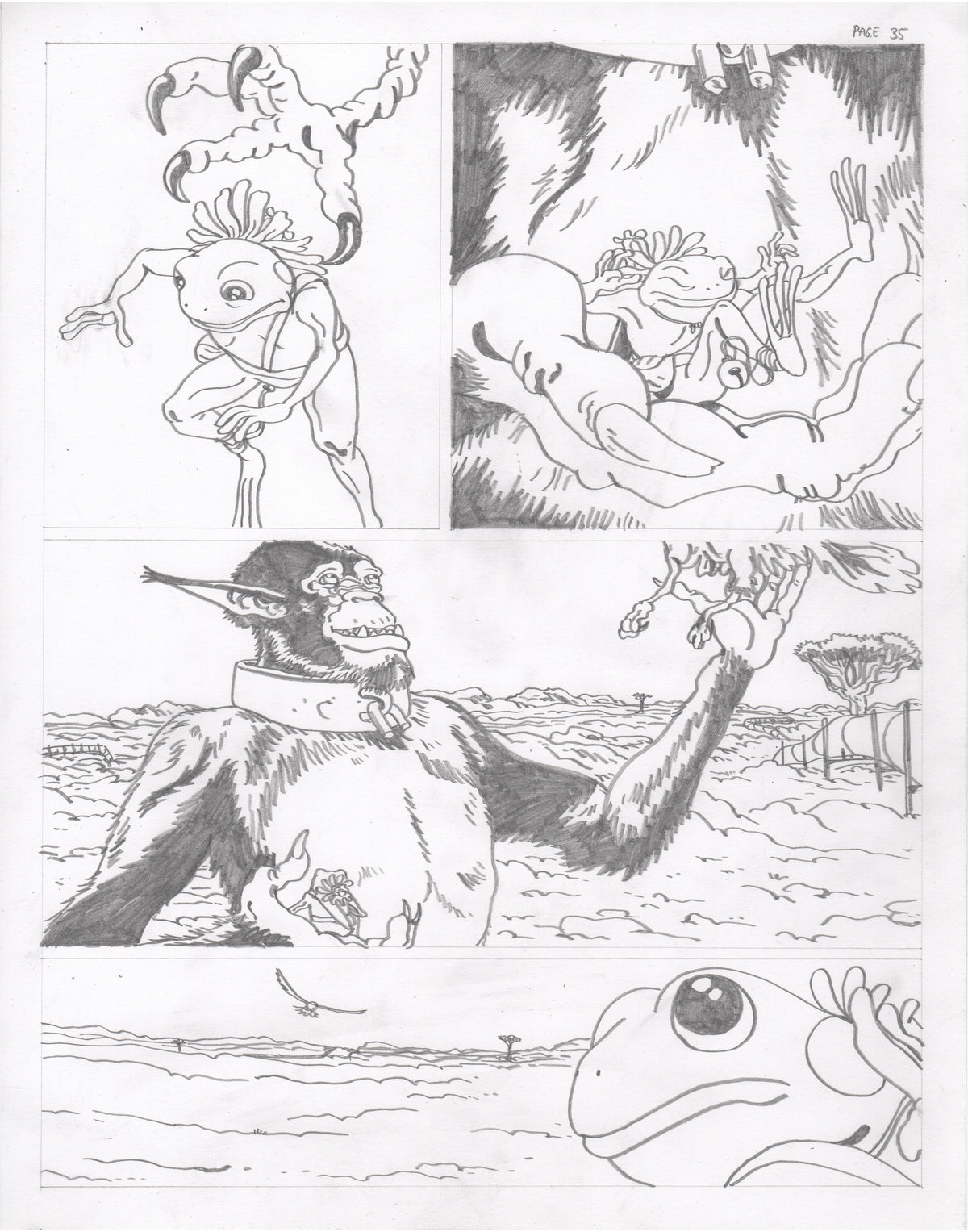 The Council of Frogs Chapter 2 Original Art