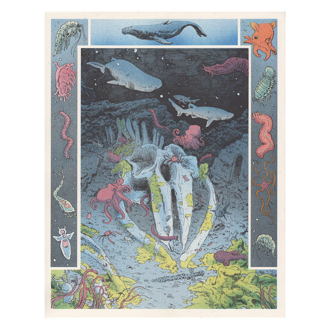 Whale Fall Riso Print